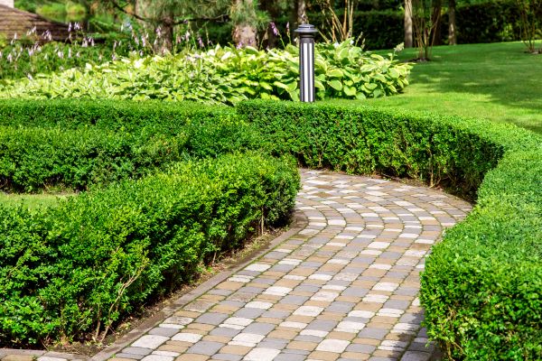 Cost of Paved Landscaping in San Rafael
