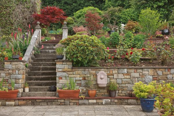 Hardscape Repair in San Rafael