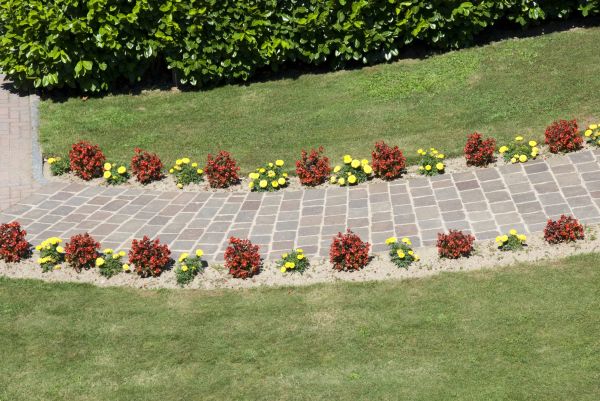 Garden Paving in San Rafael