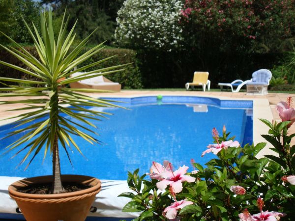 Cost of Pool Terrace Renovation in San Rafael