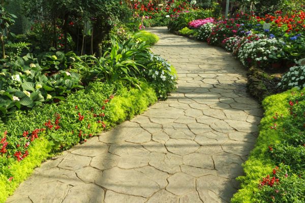 Cost of Stone Pathway Service in San Rafael