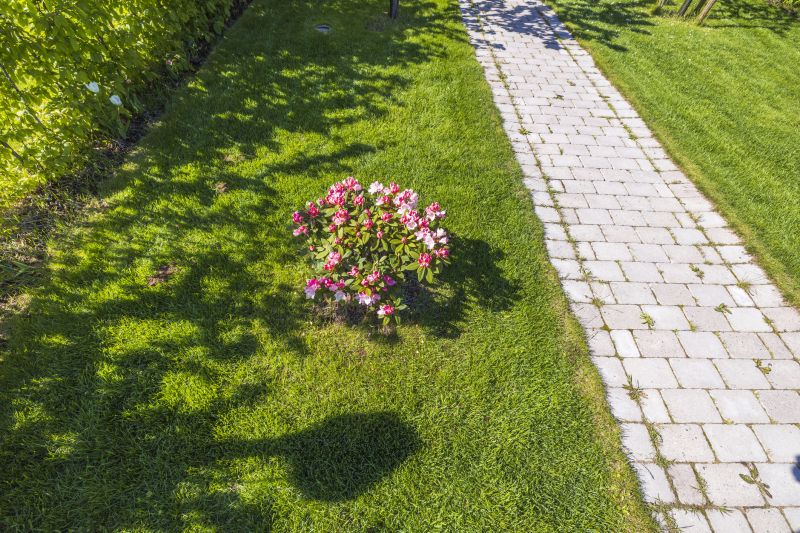 Paved Landscaping